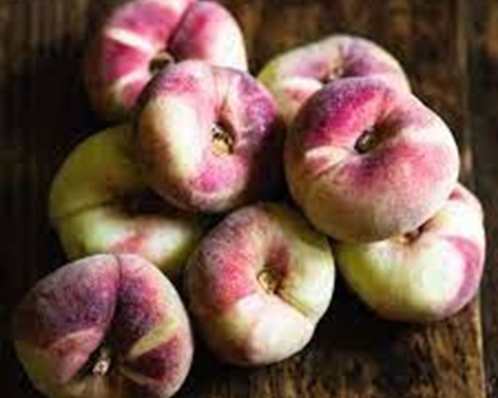 Peach Doughnut - Organic ESP