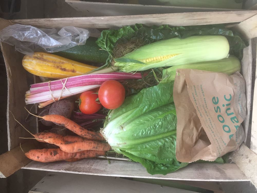Small Organic Vegetable Box