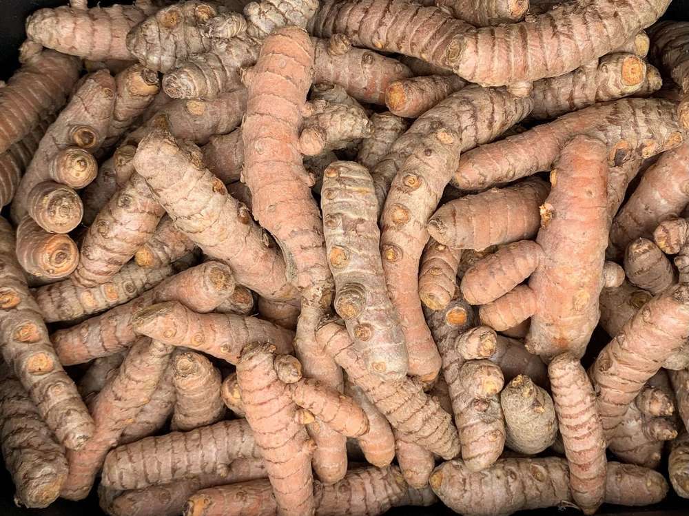 Organic Turmeric
