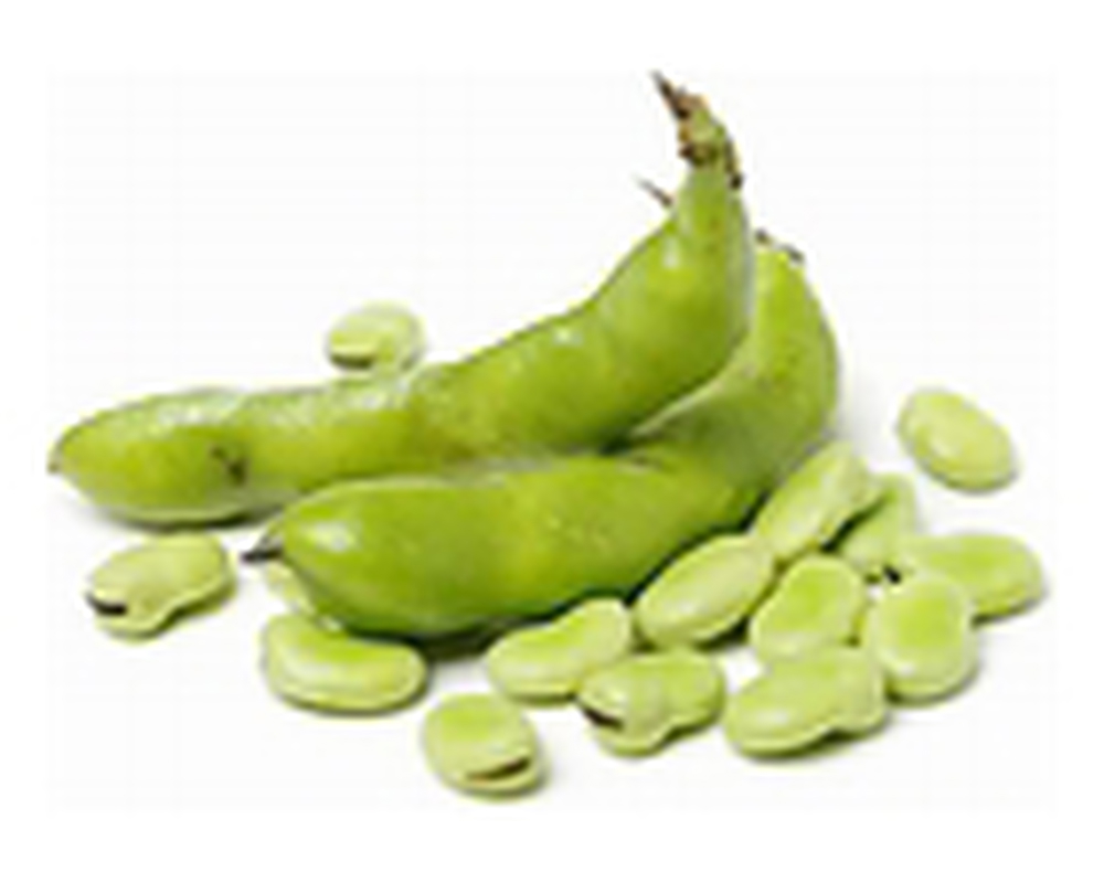 Broad Beans 🇬🇧