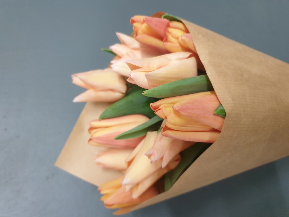 Tulip Wrap Large