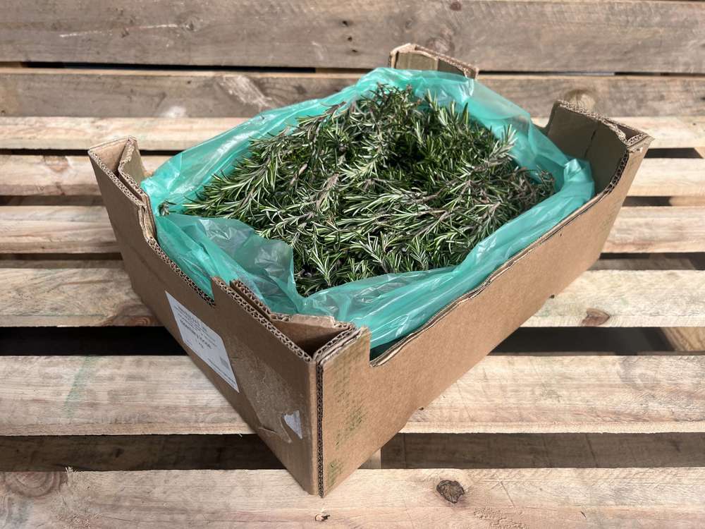 Organic Rosemary Loose