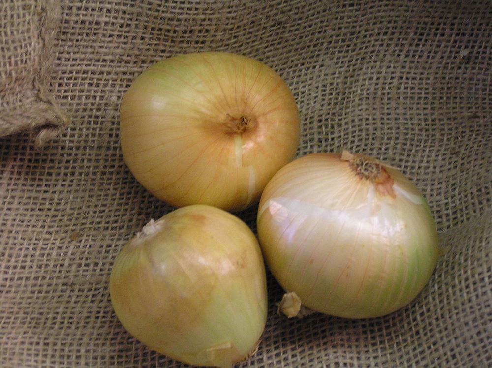 V.Onions - approx 500g