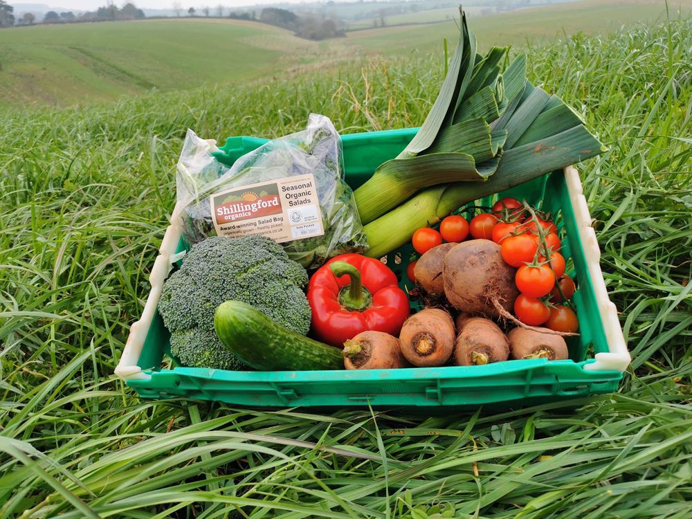 Seasonal Organic Salad Box