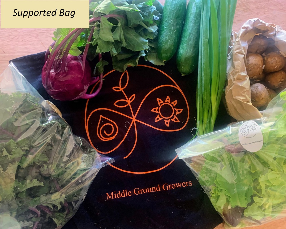 Small Veg Bag - Supported