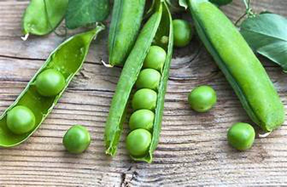 Garden Peas