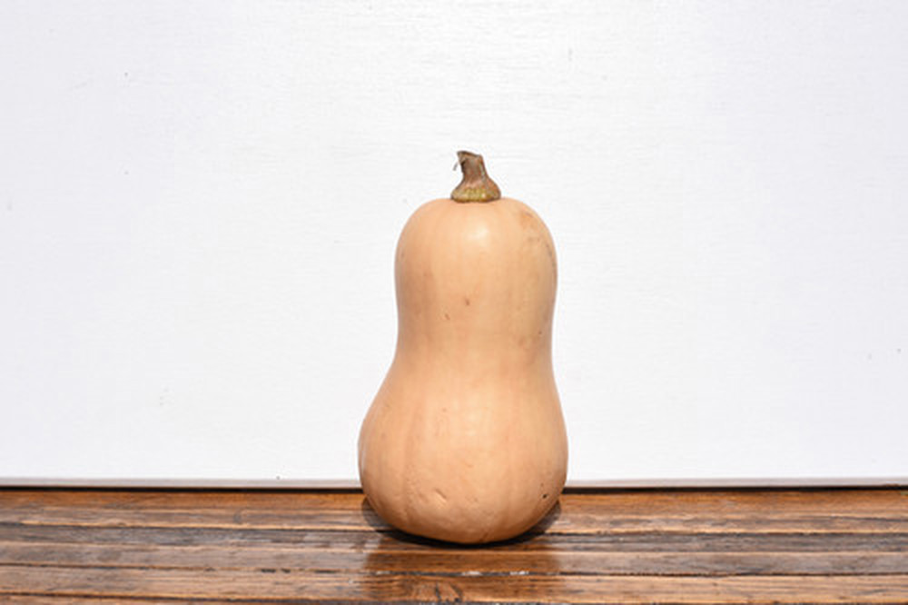 Organic Butternut Squash 1