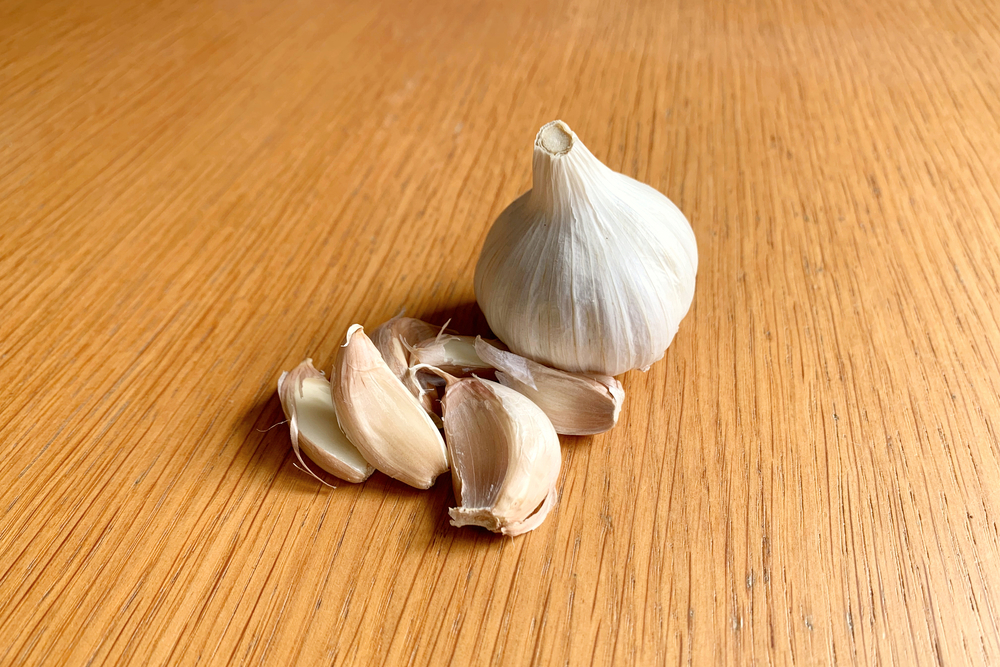 Garlic