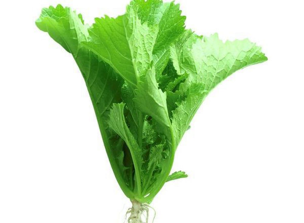 Mustard Green: Wasabina (BUNCH)