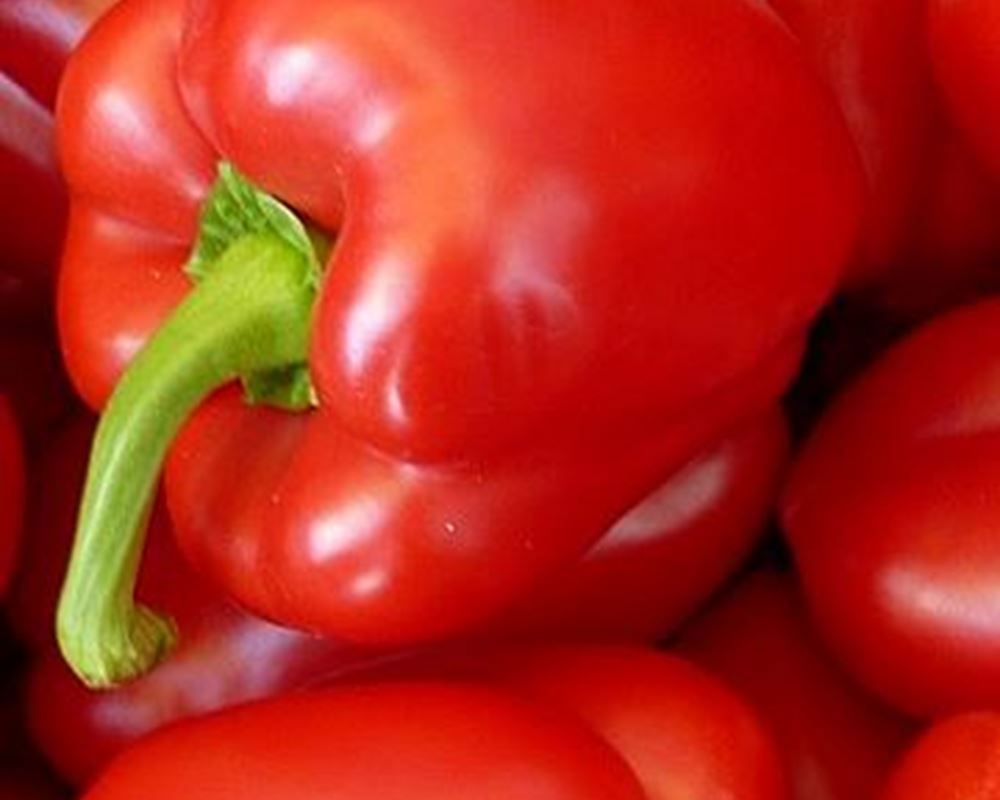 Pepper (Red)- Organic