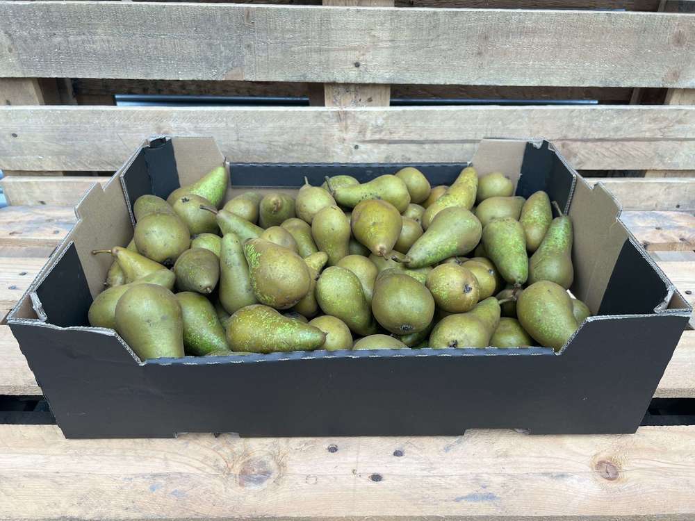 Pears - Organic Conference, British