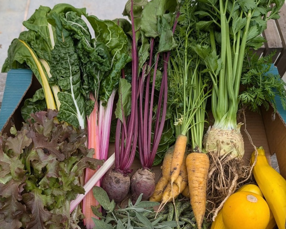 *Medi Organic Veg Box LC