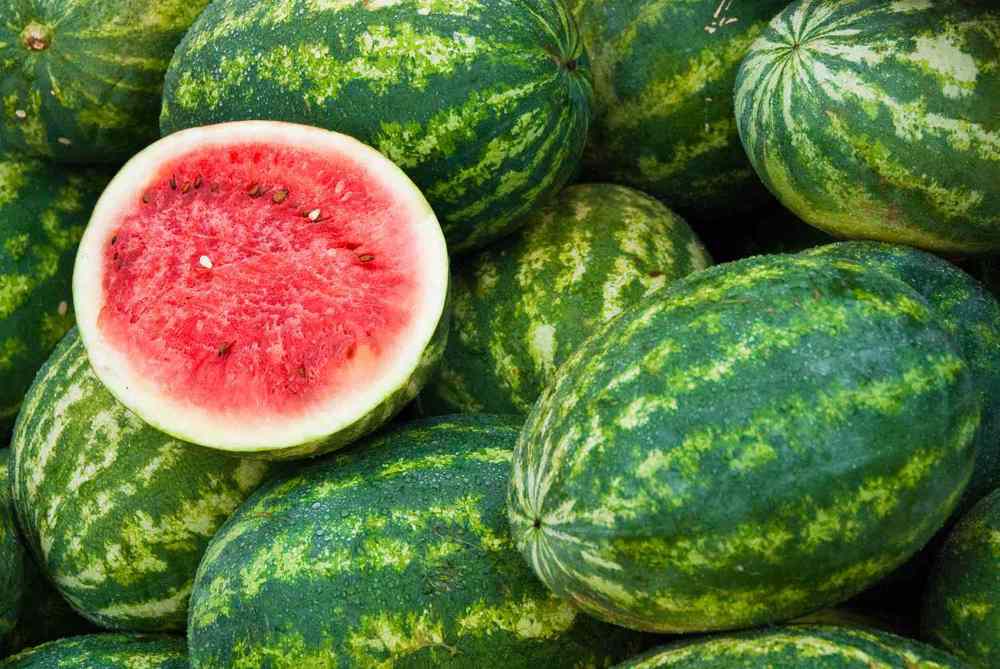 Organic Watermelon
