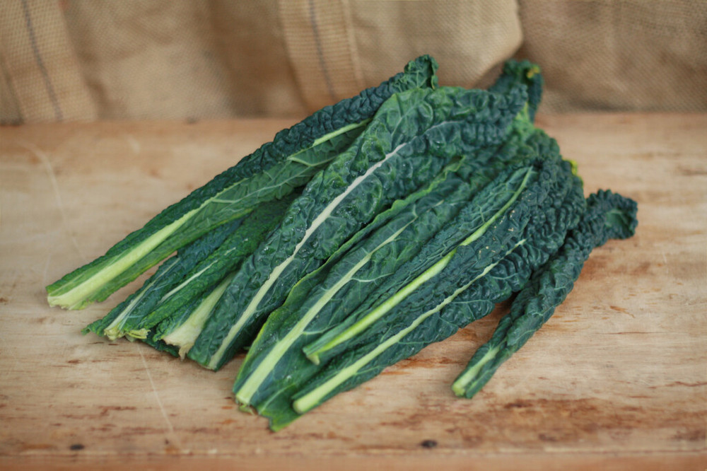 vKale Cavolo Nero