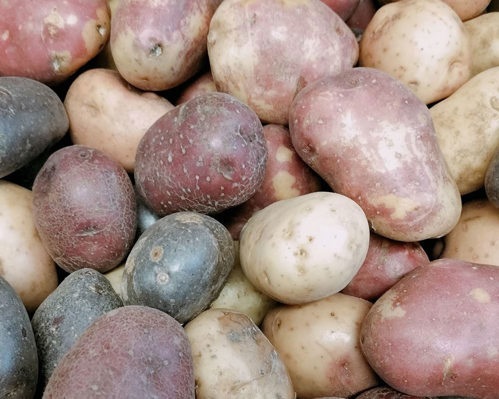 Potatoes - Mixed Heritage (1kg)