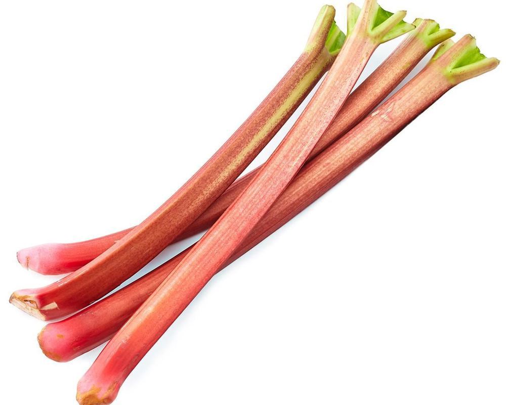 Rhubarb