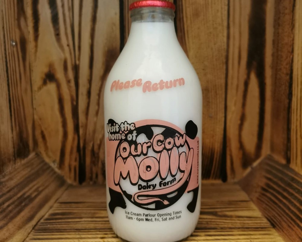 Our Cow Molly 1pint Glass Skim