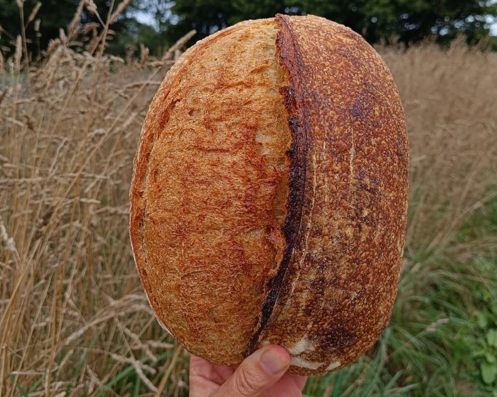 Organic White Sourdough