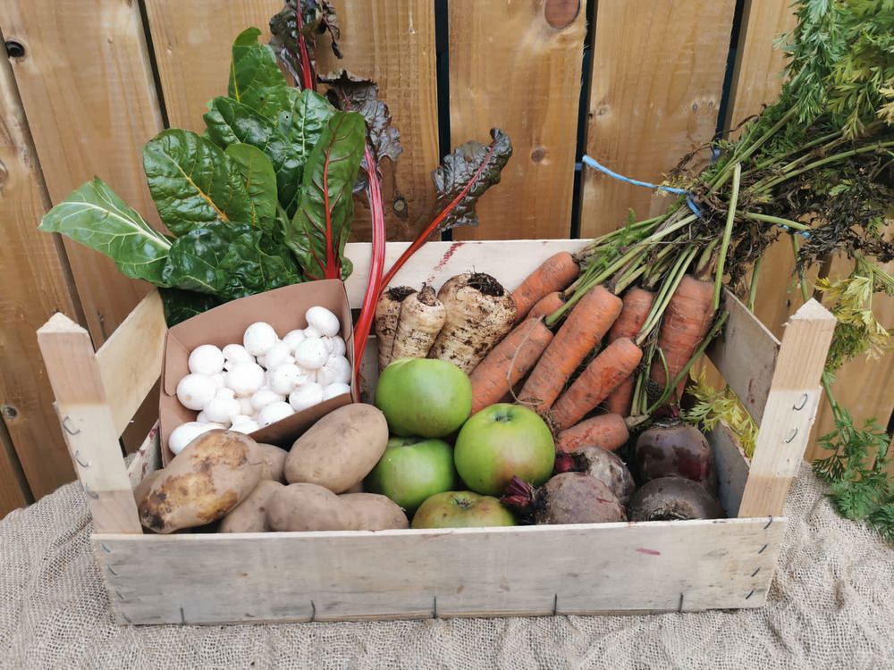 Fortnightly Vegetable Box