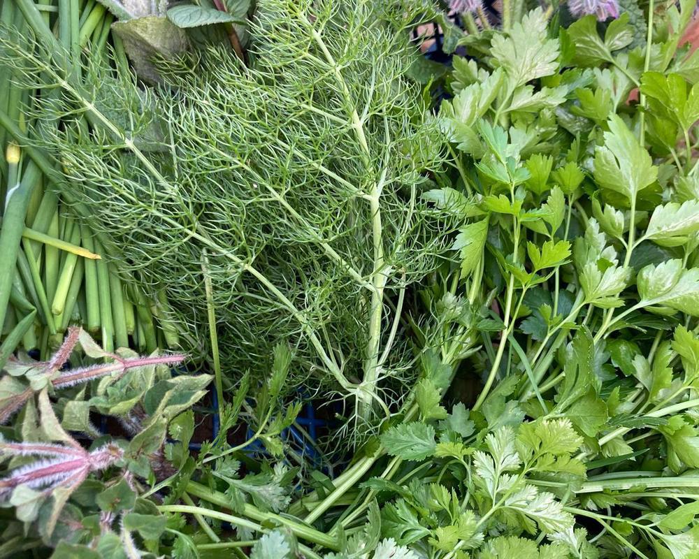 Salad and herb box