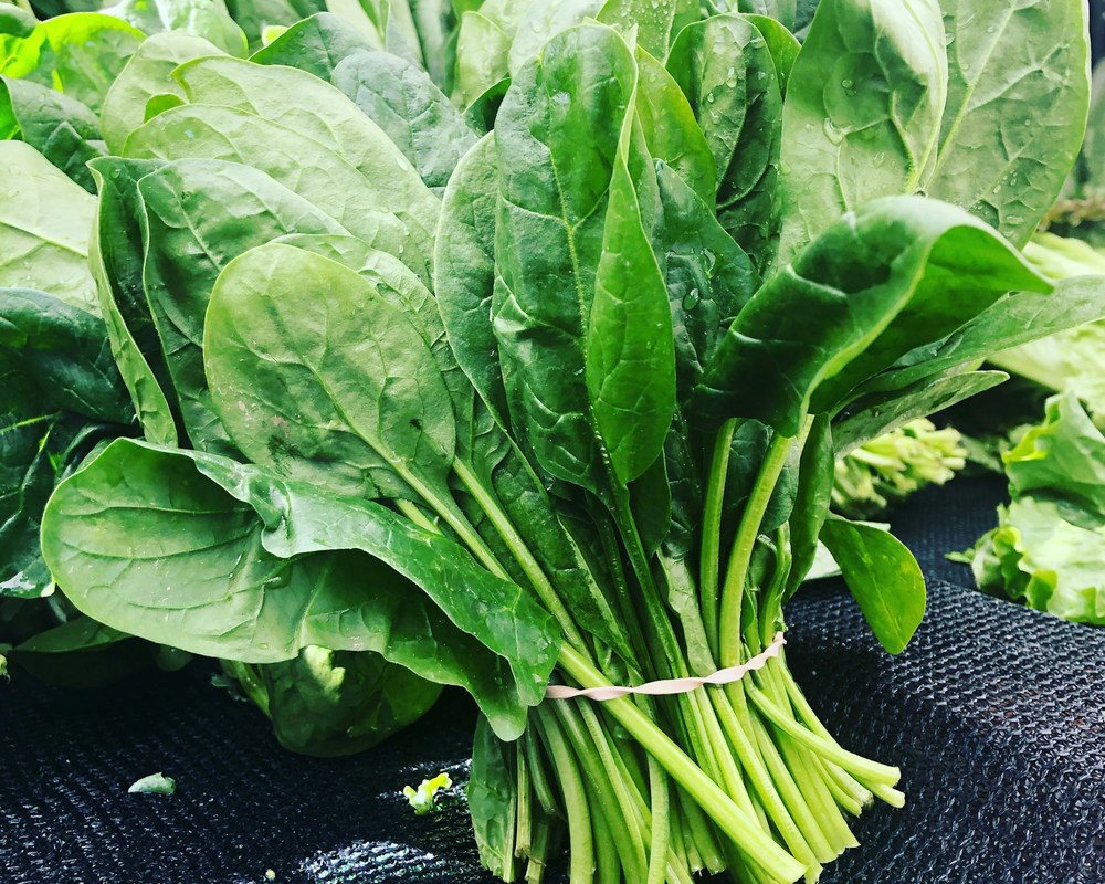 Organic Beet Spinach