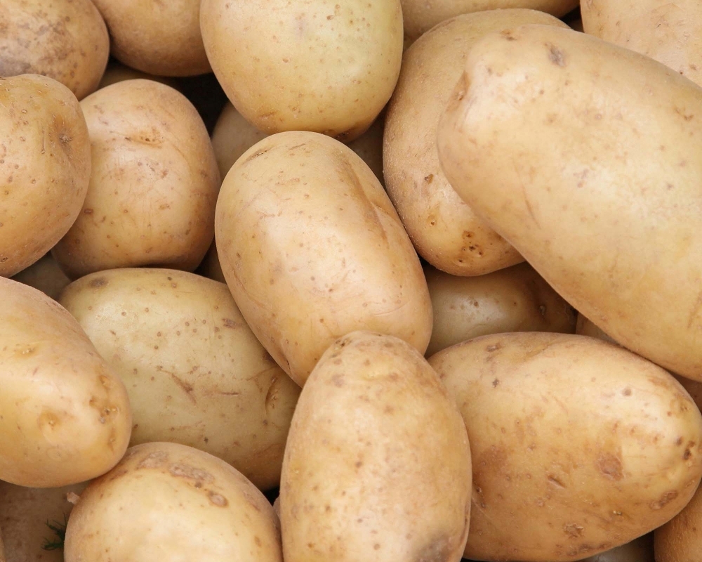 Potato: Colleen