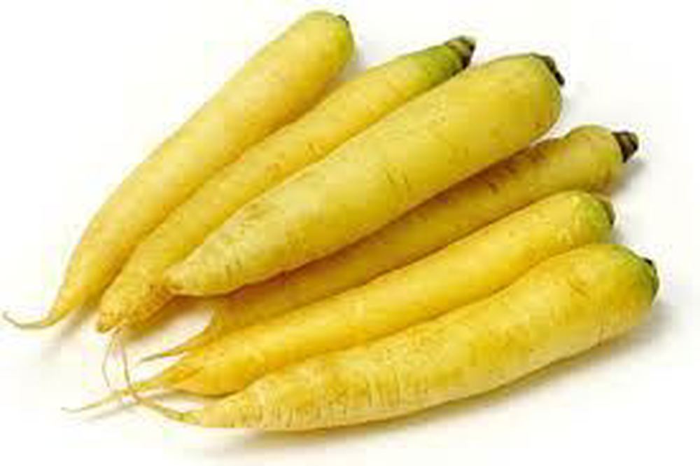 Carrot: Yellow