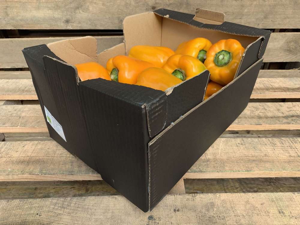 Organic Pepper Yellow