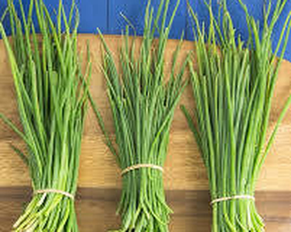 Chives (1 Bunch = about 2oz)