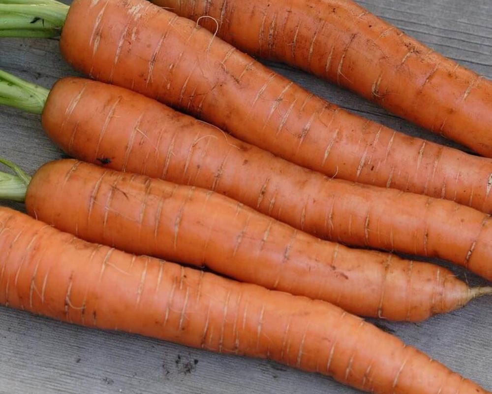 Carrot: 3kg