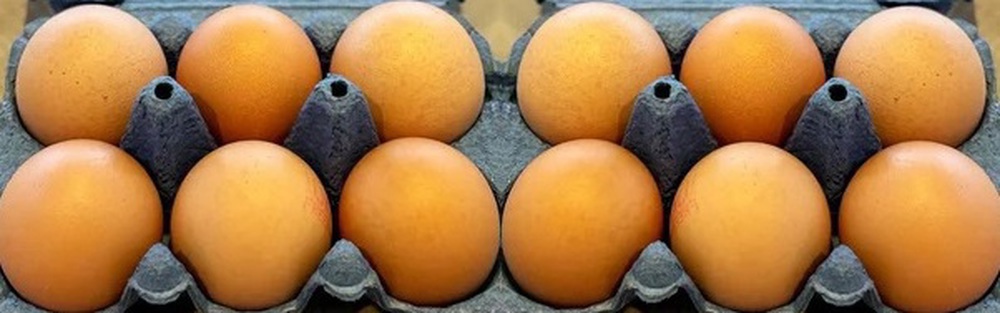 Eggs - Free Range (Dozen)