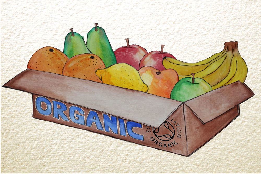 Organic Fruit Boxes