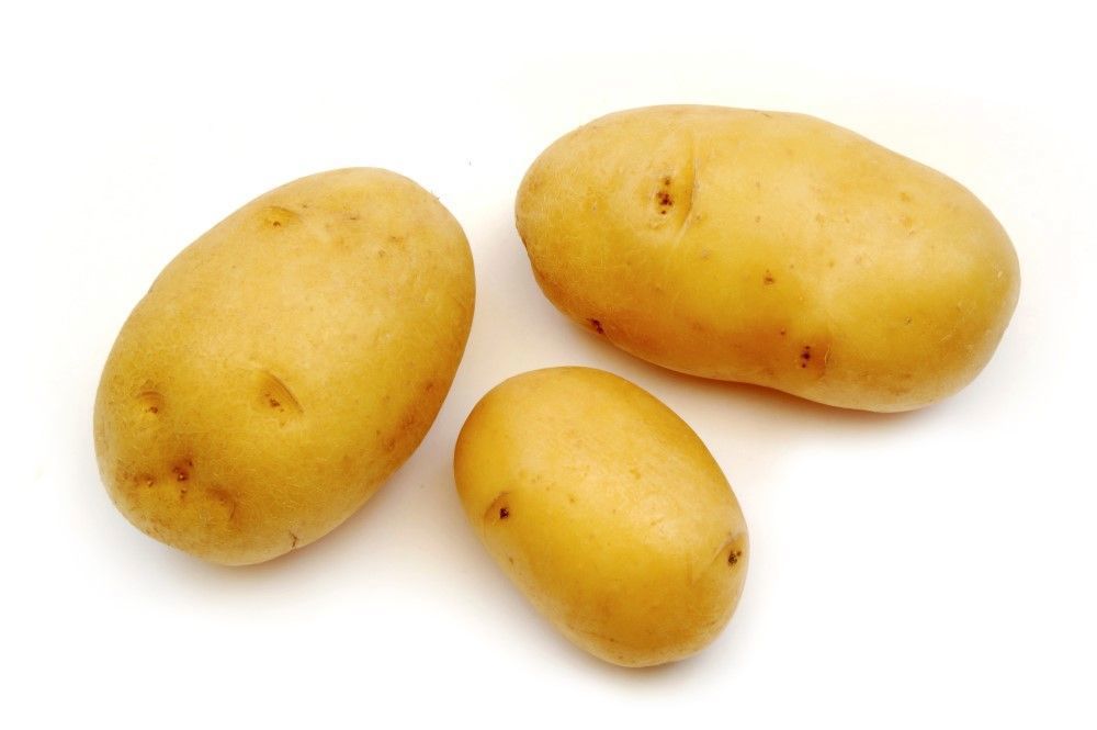 Potato: Dutch Cream