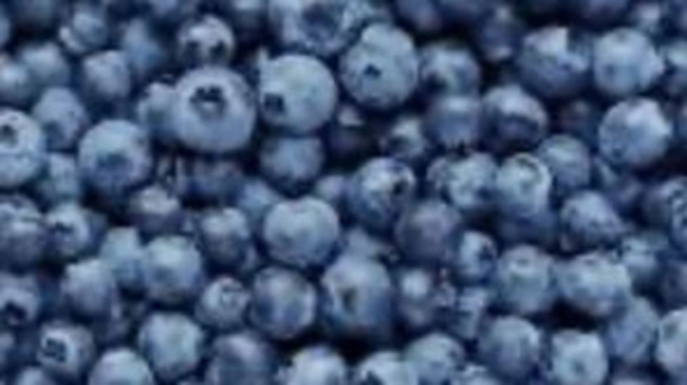 Blueberry 🇪🇸