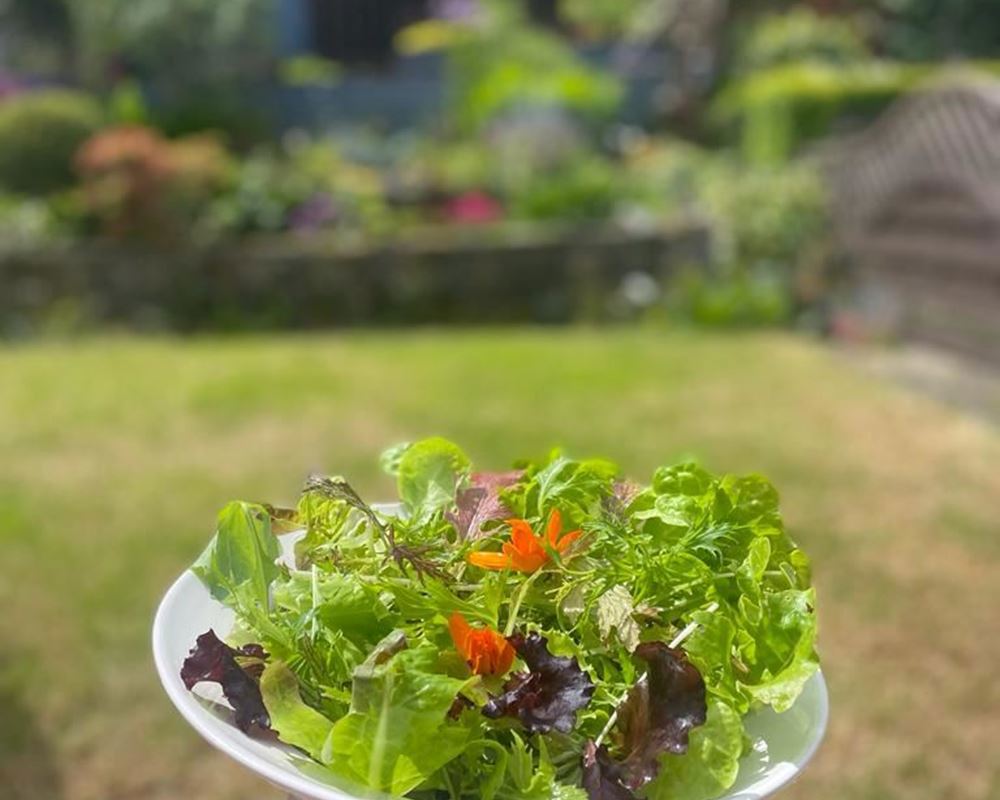 Salad leaves bag