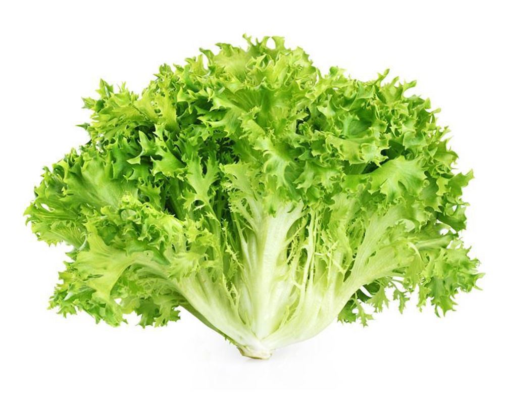 Lettuce-Endive  Organic
