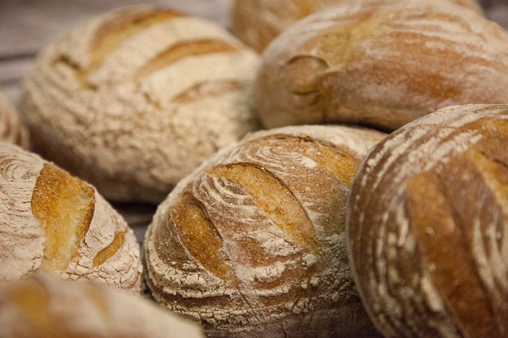 Sourdough - Large