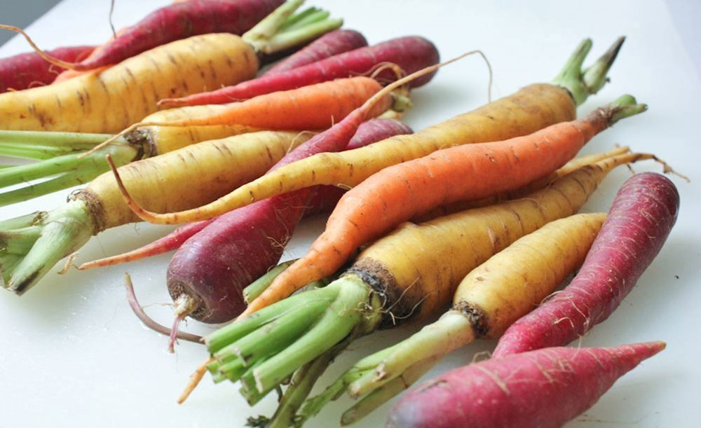 Organic Washed Rainbow Carrots