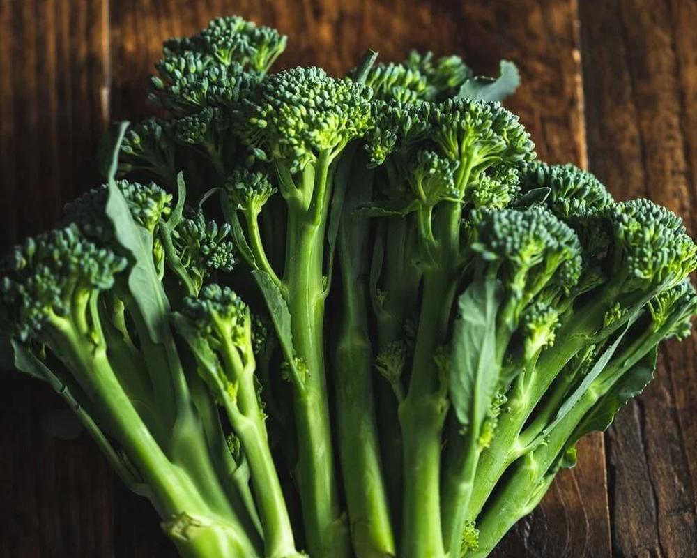 vBroccoli Tenderstem