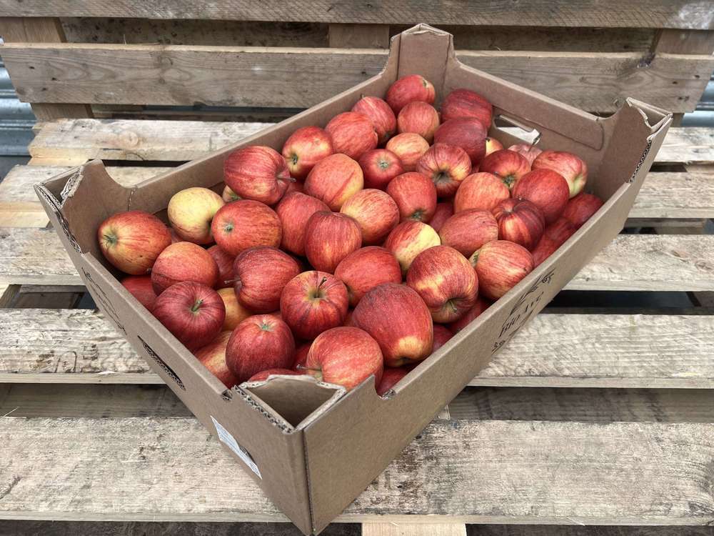 Organic Apple Royal Gala