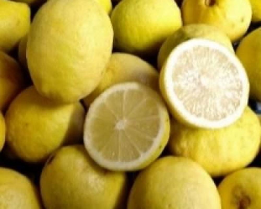 Lemons ( Green Skins ) - Organic ESP