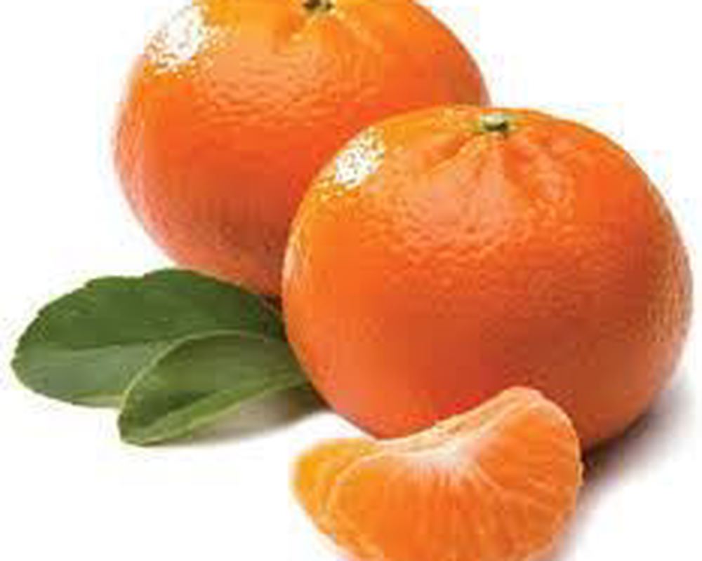 Mandarin: Daisy