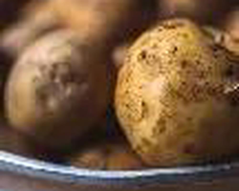 New Potatoes 🇬🇧