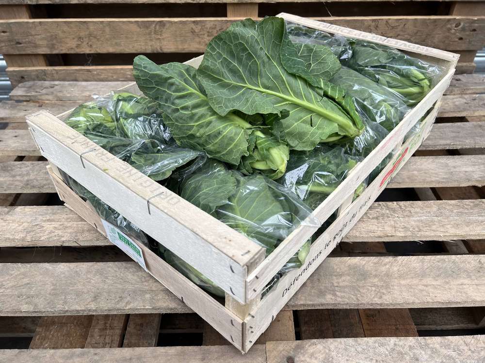 Organic Spring Greens Bagged 12 x approx 300g