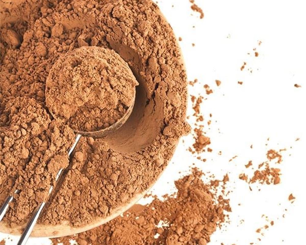 Cacao Organic: Powder - HG