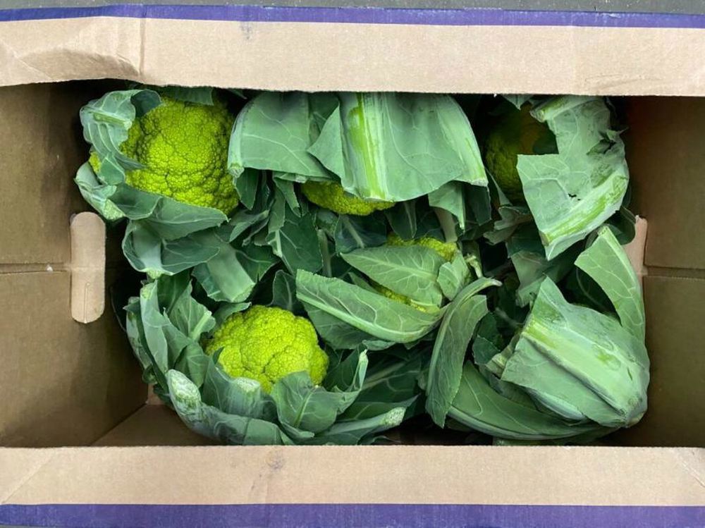 Cauliflower - Emerald Green (Yorkshire, UK)