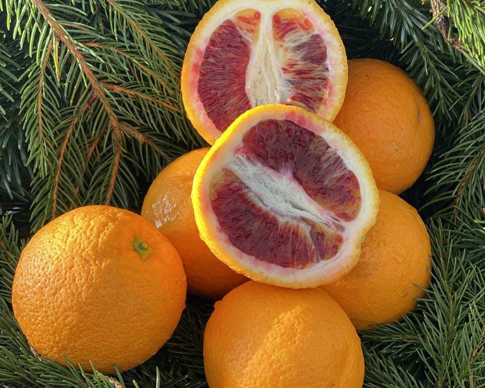 Blood Orange - approx 500g - Organic