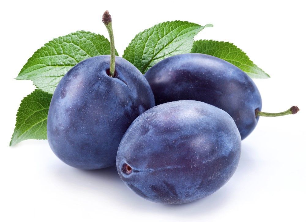 Plum: Angelina