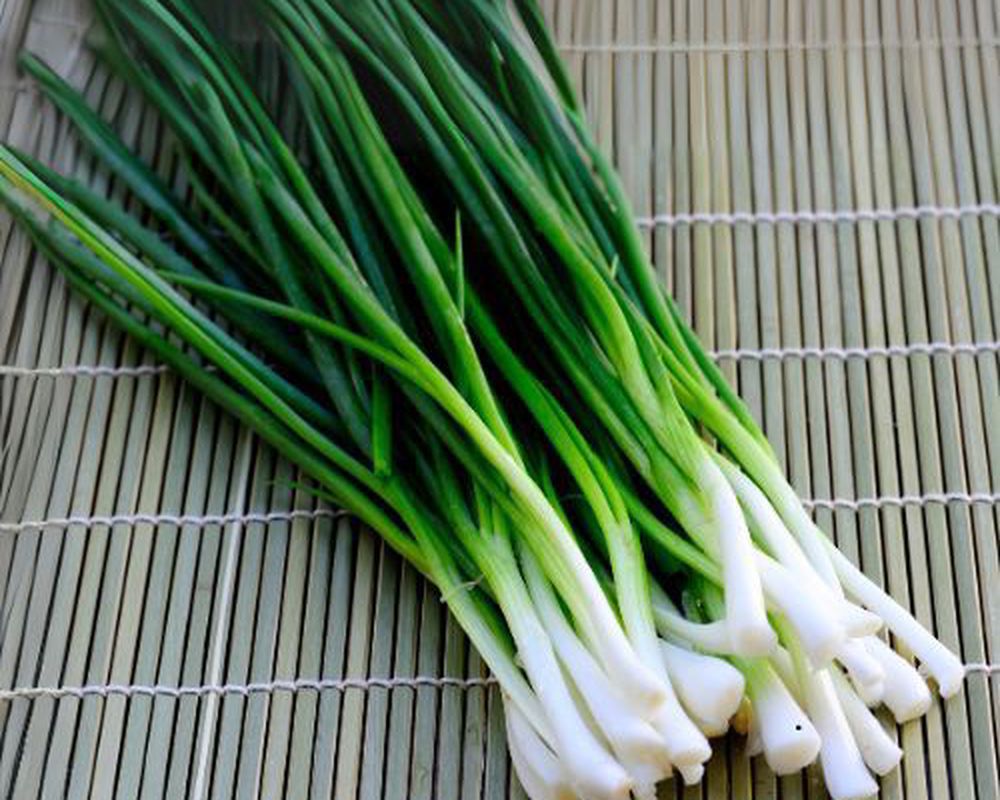 Spring Onion