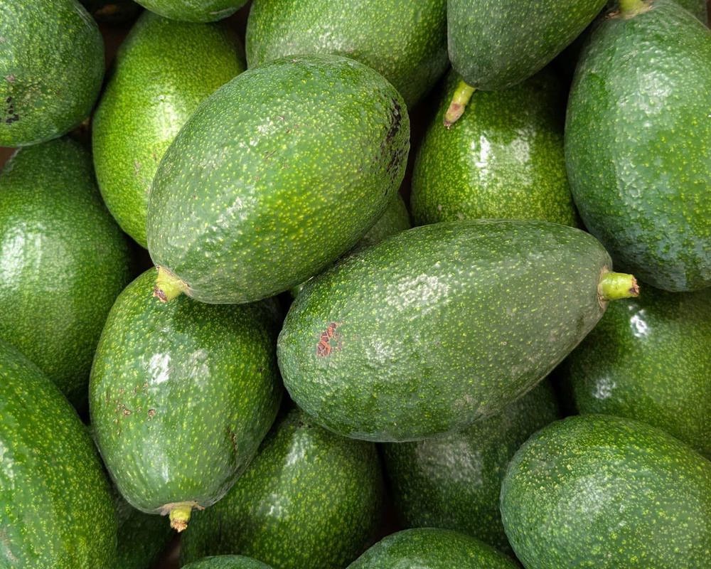 Spanish Avocados